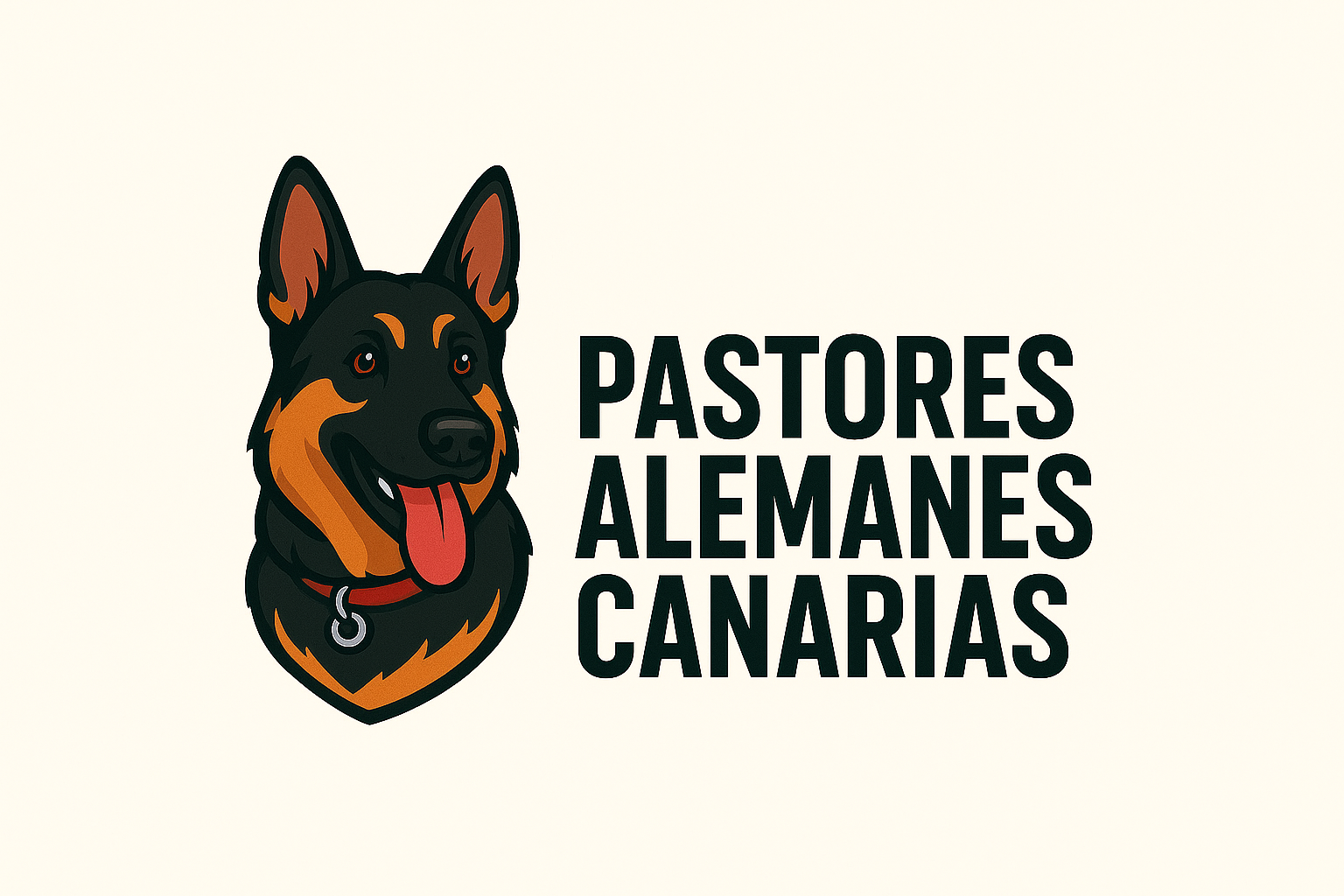 🐾 Cría profesional de pastores alemanes negro fuego y negro sólido
